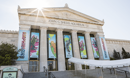 SHEDD AQUARIUM Website