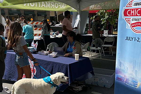 PRINTER'S ROW: LIT FEST image