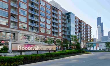 ROOSEVELT COLLECTION SHOPS Website
